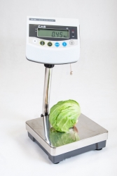 Waga wodoodporna CAS BW-1 150 N