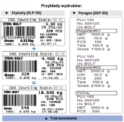 Wagi liczące CAS EC-II